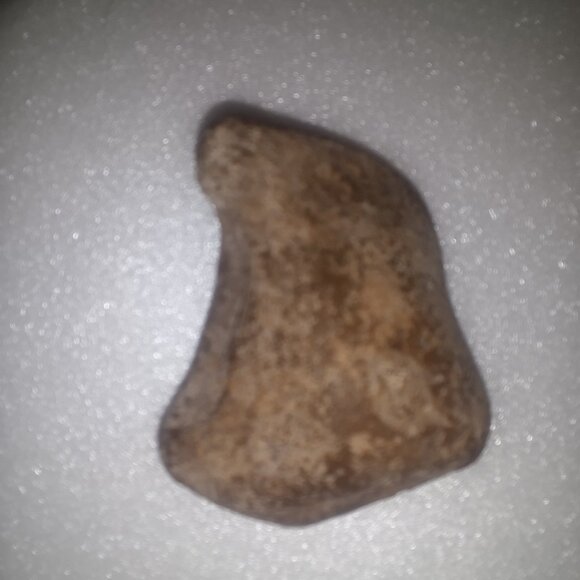 All Prehistoric Fossils/Artifacts/Chert for Sale - Picture 3 of 16